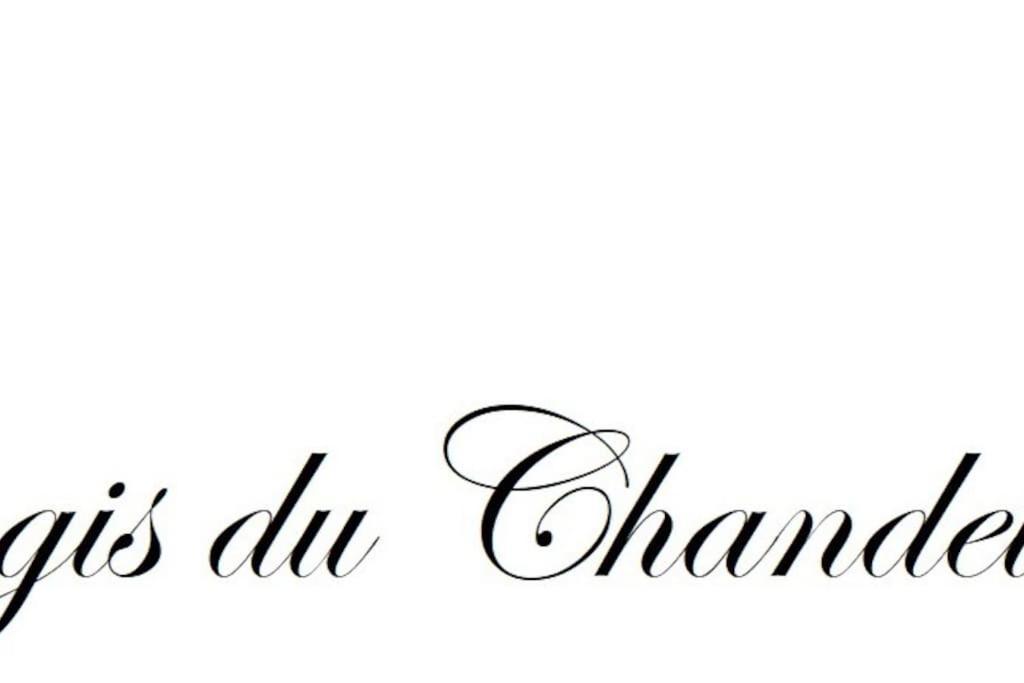 Logis Du Chandelier Le Puy-en-Velay Εξωτερικό φωτογραφία